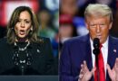 Trump Orders Investigation Into Kamala Harris’s Celebrity Endorsements